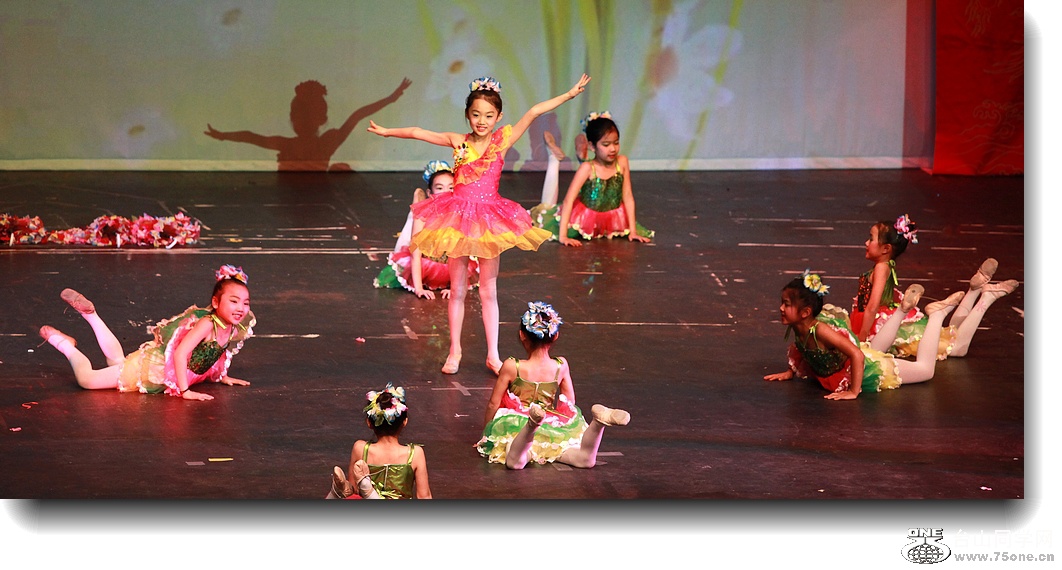IMG_3394a.jpg