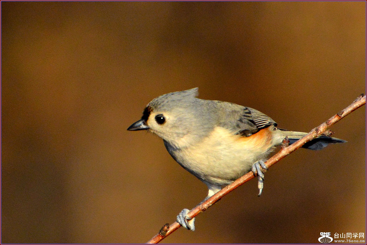 DSC_7761_.jpg