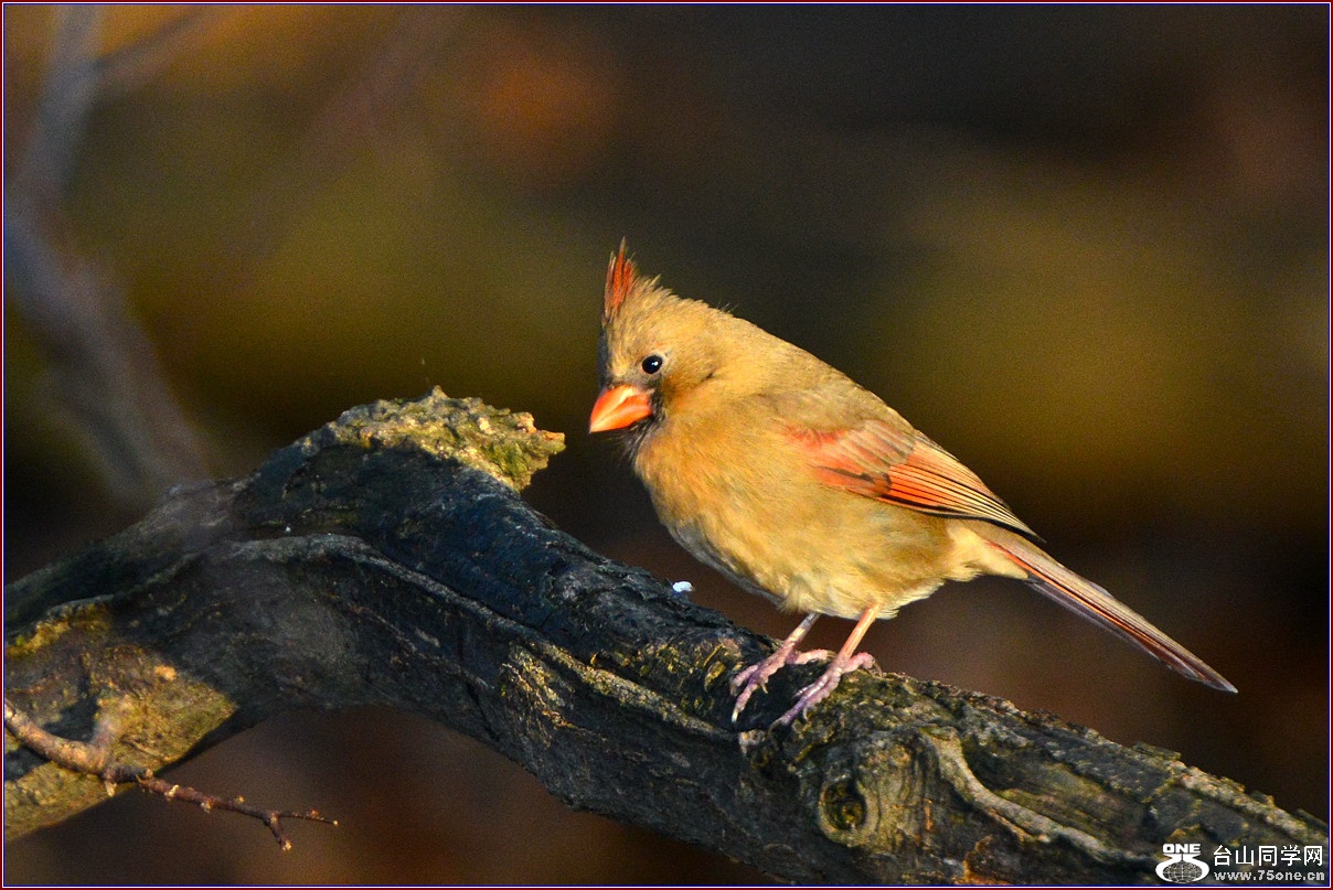 DSC_7882_.jpg