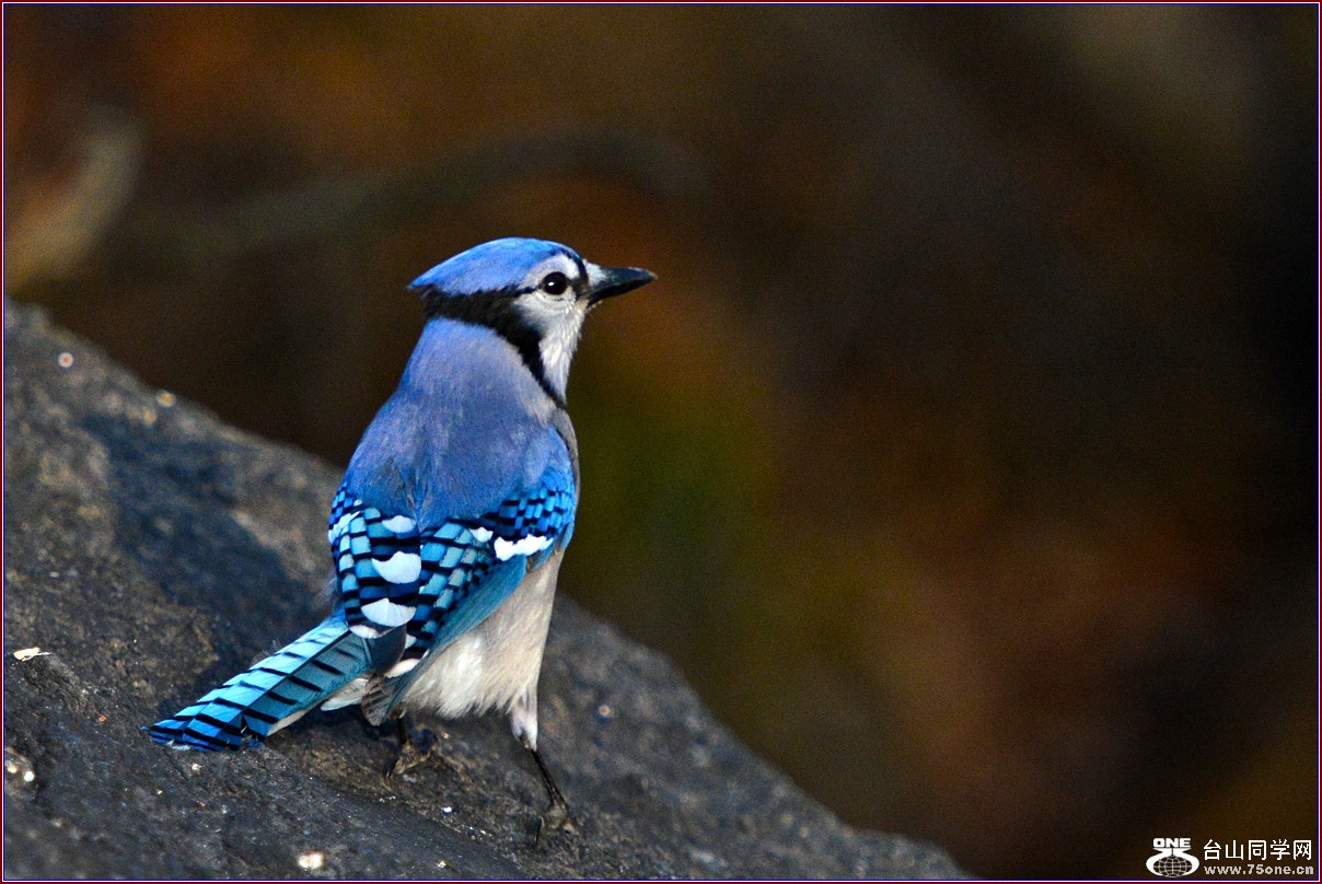 DSC_7765_.jpg