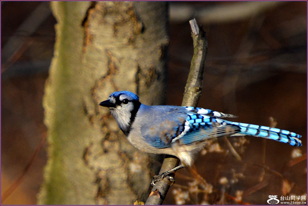 DSC_7645_.jpg