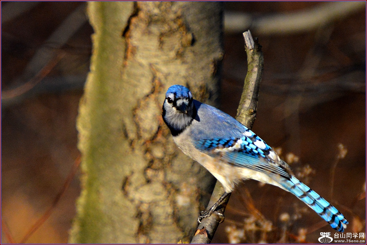 DSC_7643_.jpg