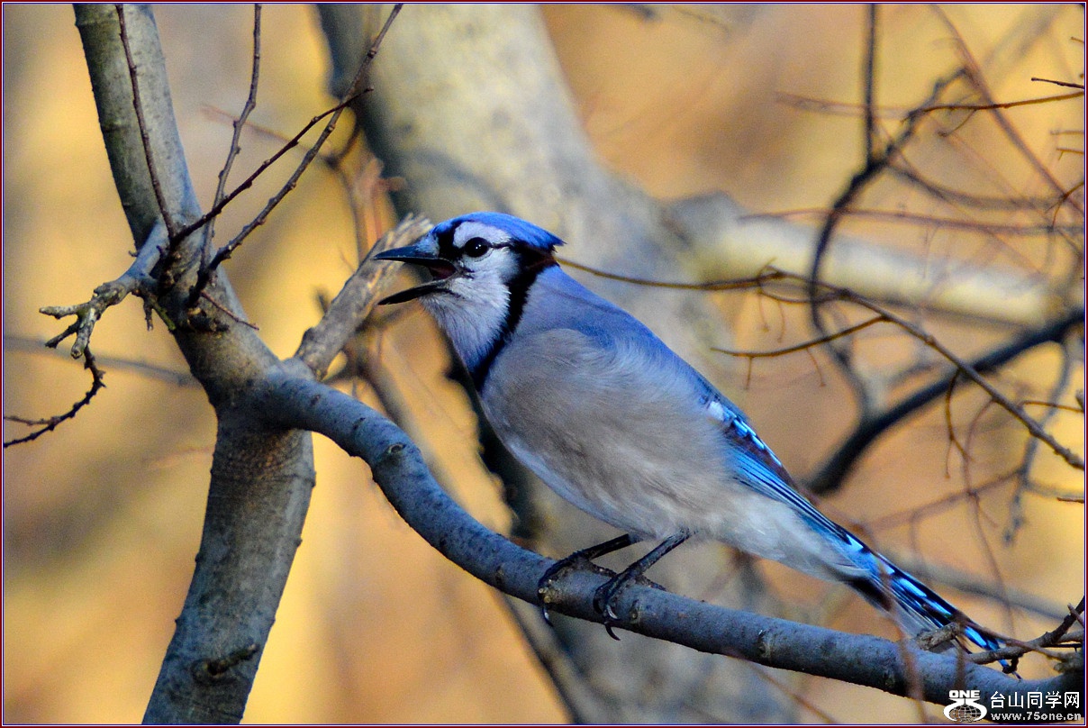 DSC_7798_.jpg