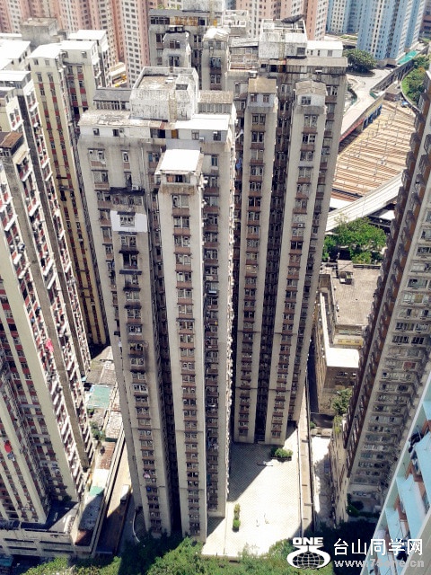 2485562421-cc96d1581bfc1fc (1)_.jpg