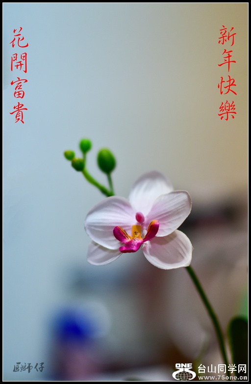 DSC_2432.jpg