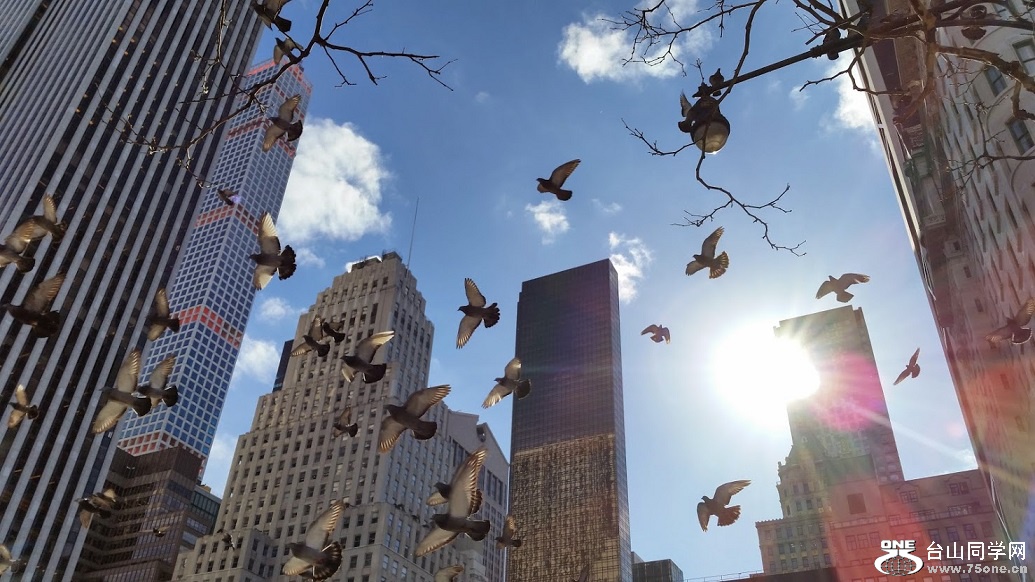 20150205_132515[1].jpg