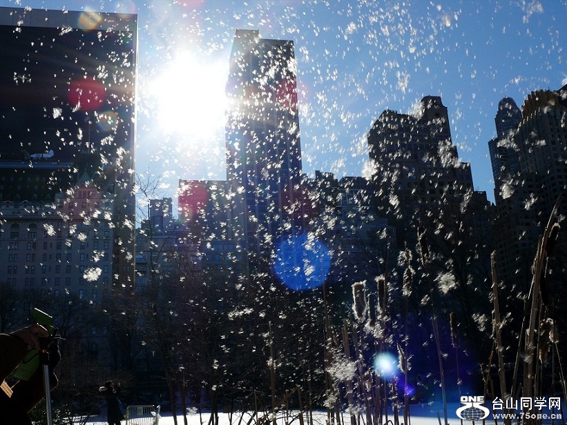 l2100918_conew1.jpg