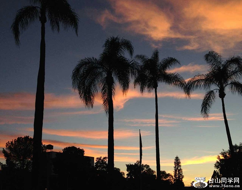 sunset2.jpg