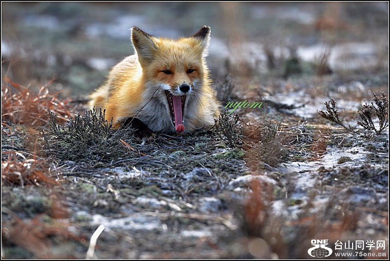 DSC_8164.jpg