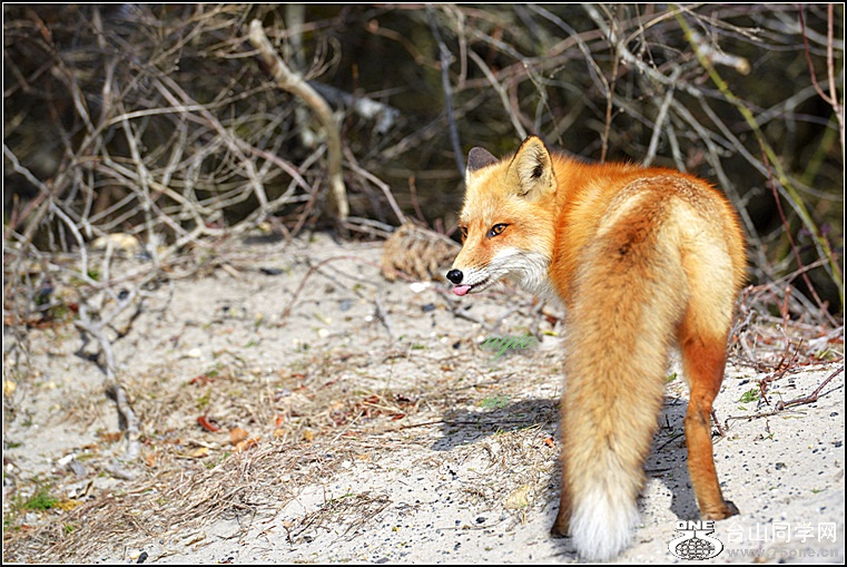 DSC_8694.jpg