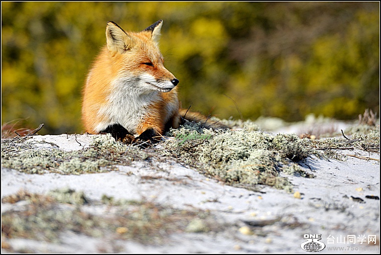 DSC_9011.JPG