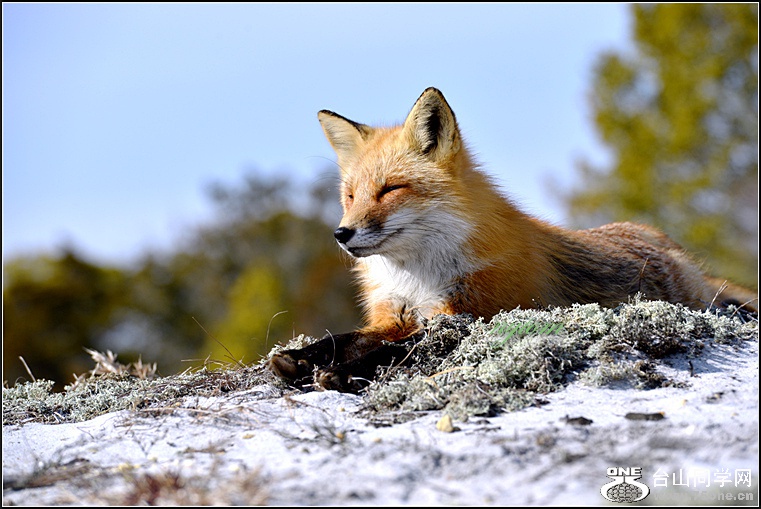 DSC_9084.JPG