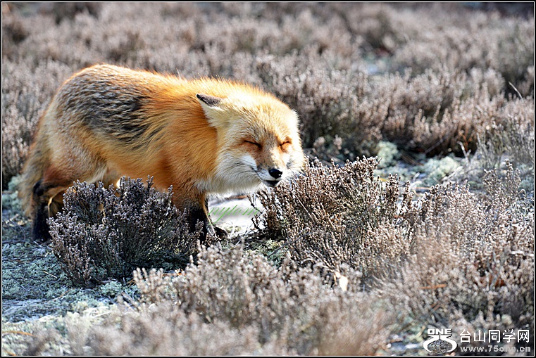 DSC_8471.jpg