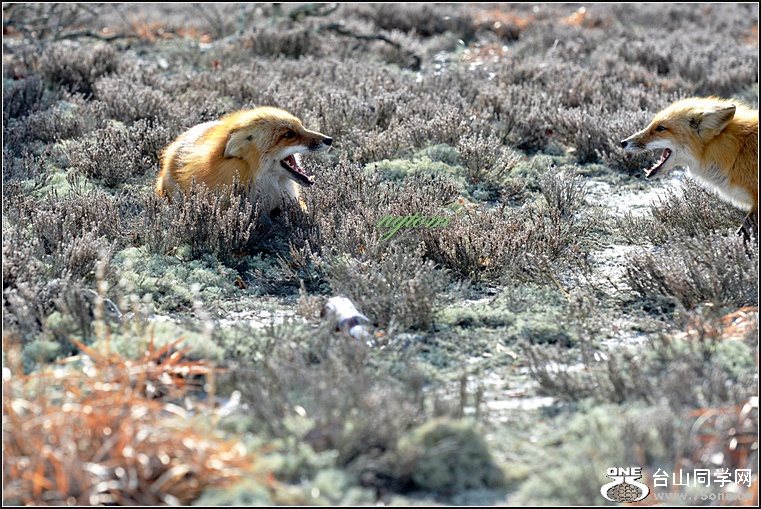 DSC_8393.jpg