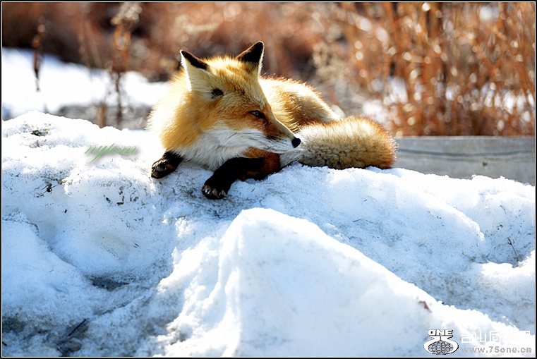 DSC_8903.jpg