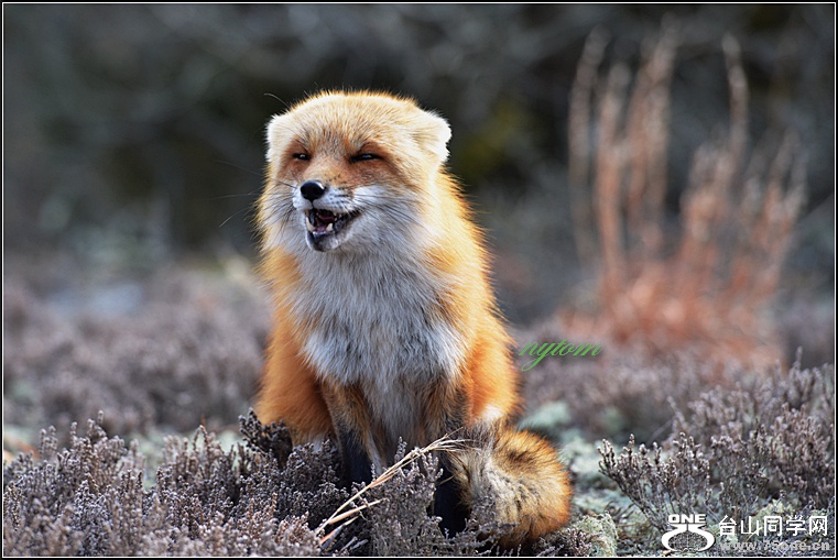 DSC_8143.jpg