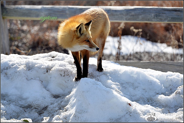 DSC_8839.jpg