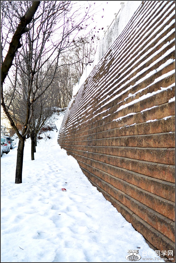 DSC_1240.jpg