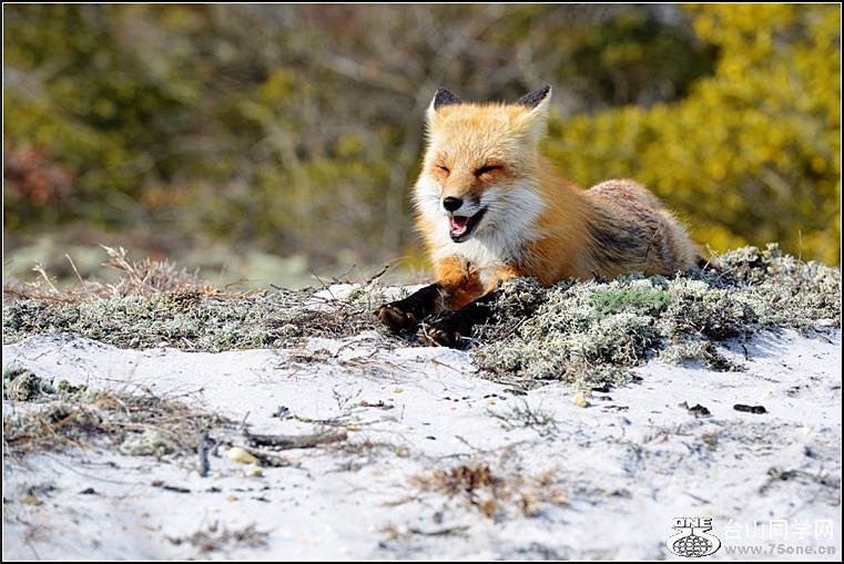 DSC_9070_1.JPG