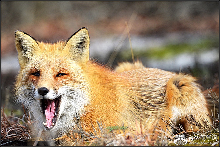 DSC_9463_1.JPG