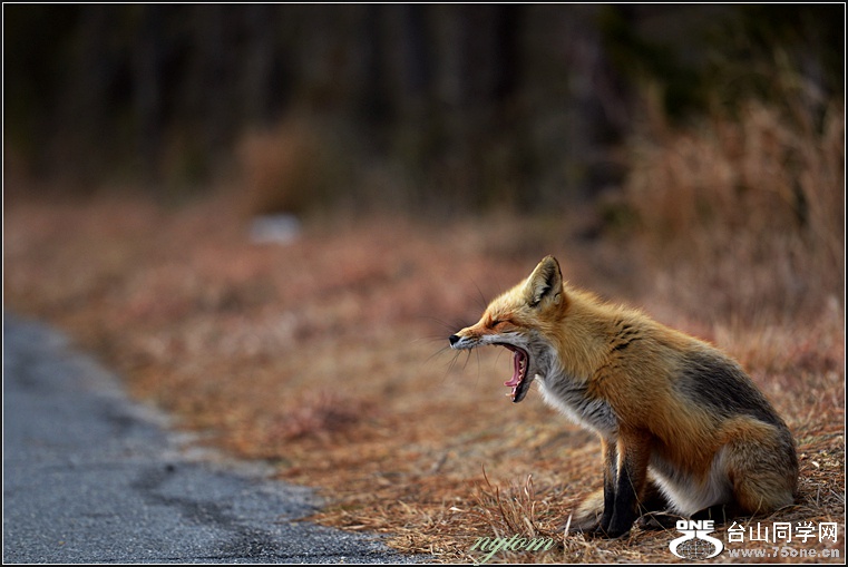 DSC_7636.jpg