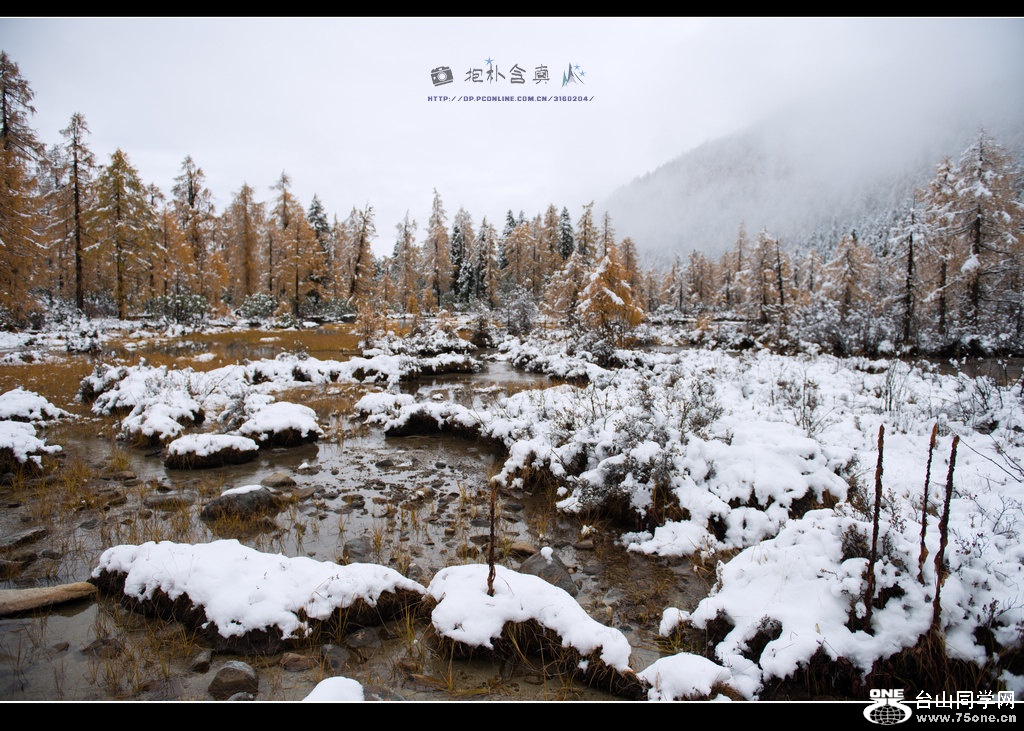 _DSC9367.jpg
