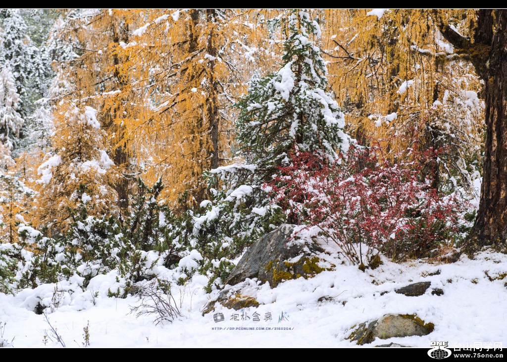 _DSC9391.jpg