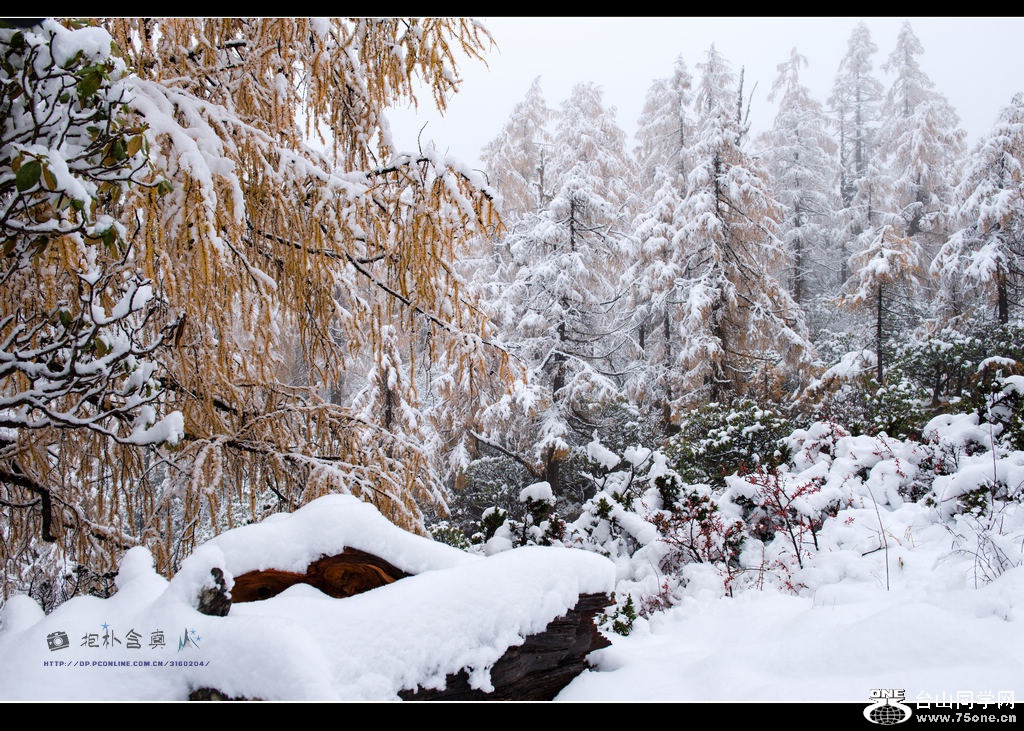 _DSC9283.jpg