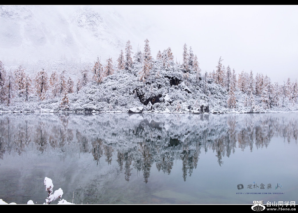 _DSC9256.jpg