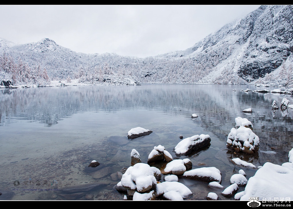 _DSC9246.jpg