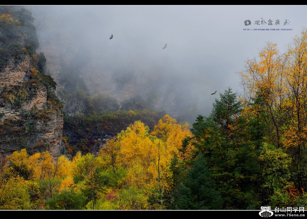 _DSC9689.jpg