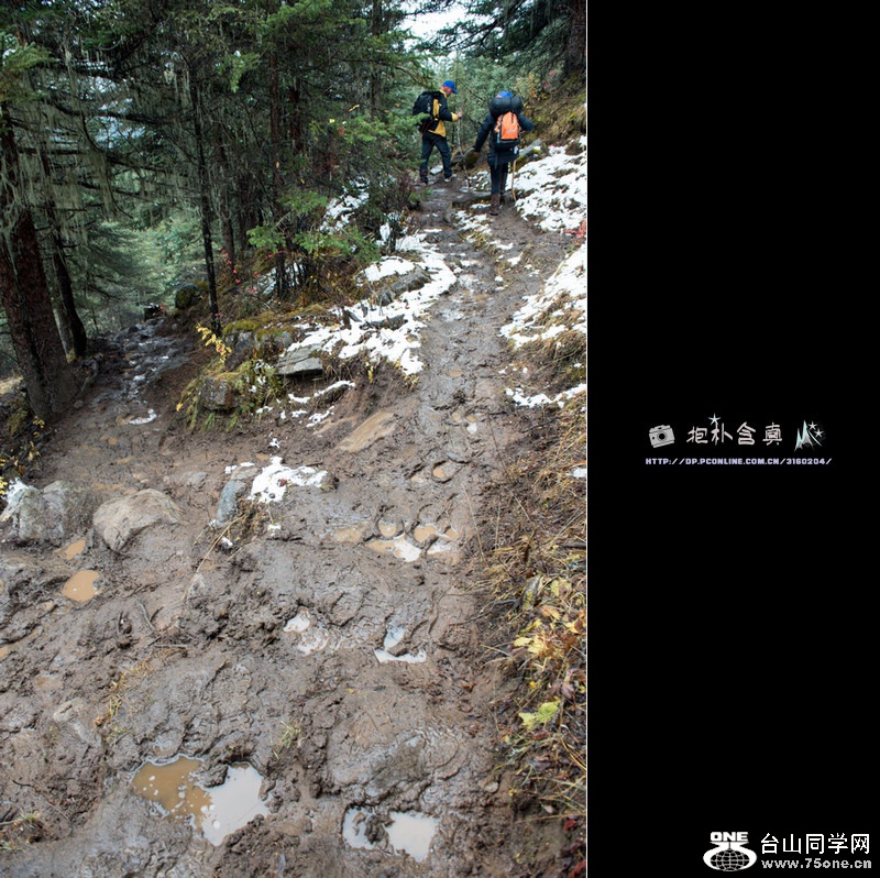 _DSC9459.jpg