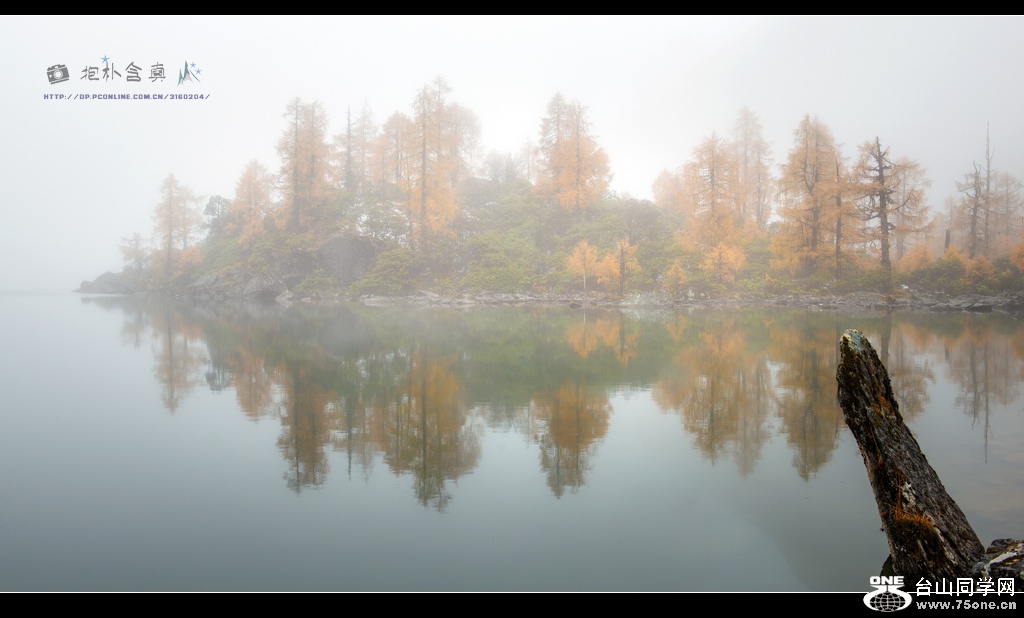 _DSC8837.jpg