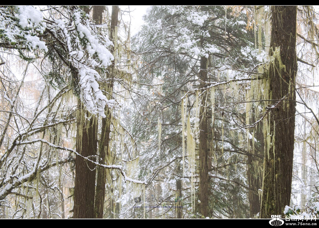 _DSC9395.jpg