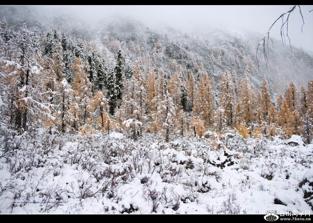 _DSC9365.jpg