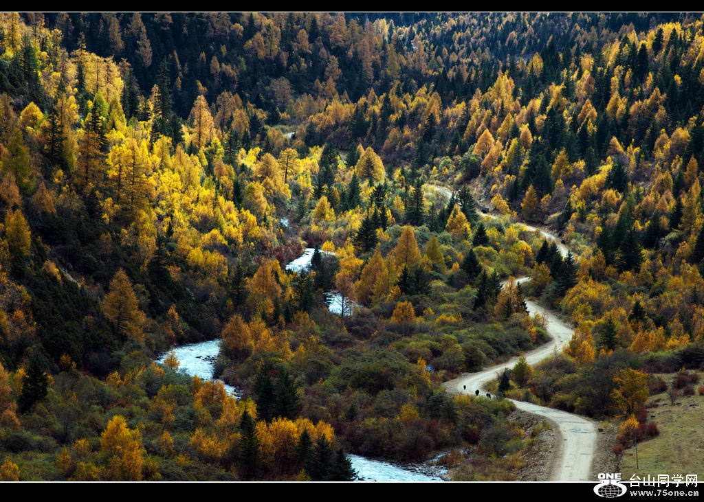 _DSC9806.jpg