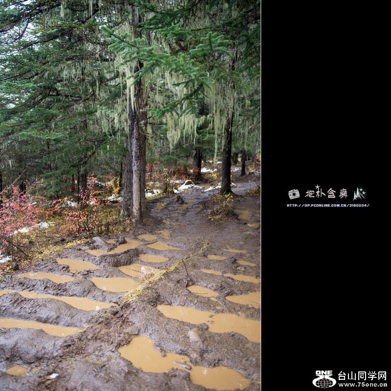 _DSC9468.jpg