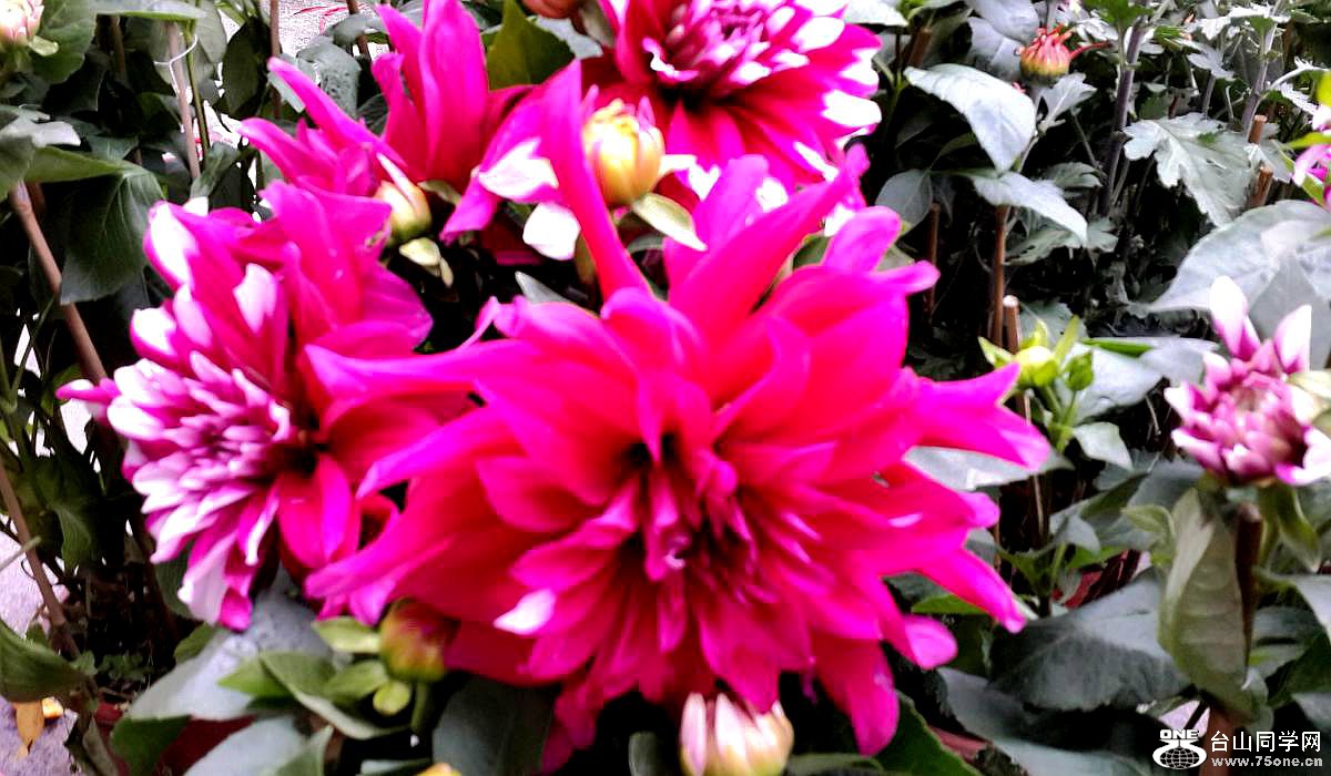 C360_2015-02-14-15-08-31-128.jpg