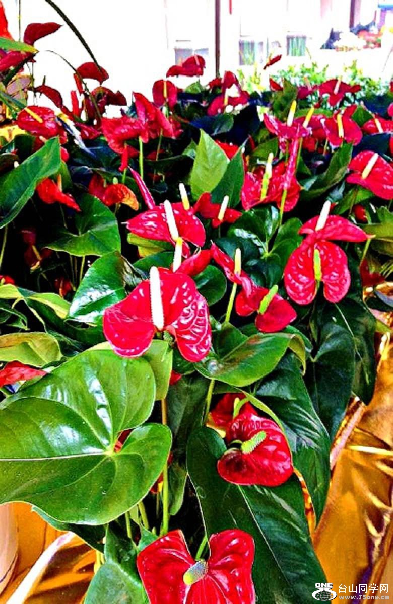 20150210_120800_260.jpg