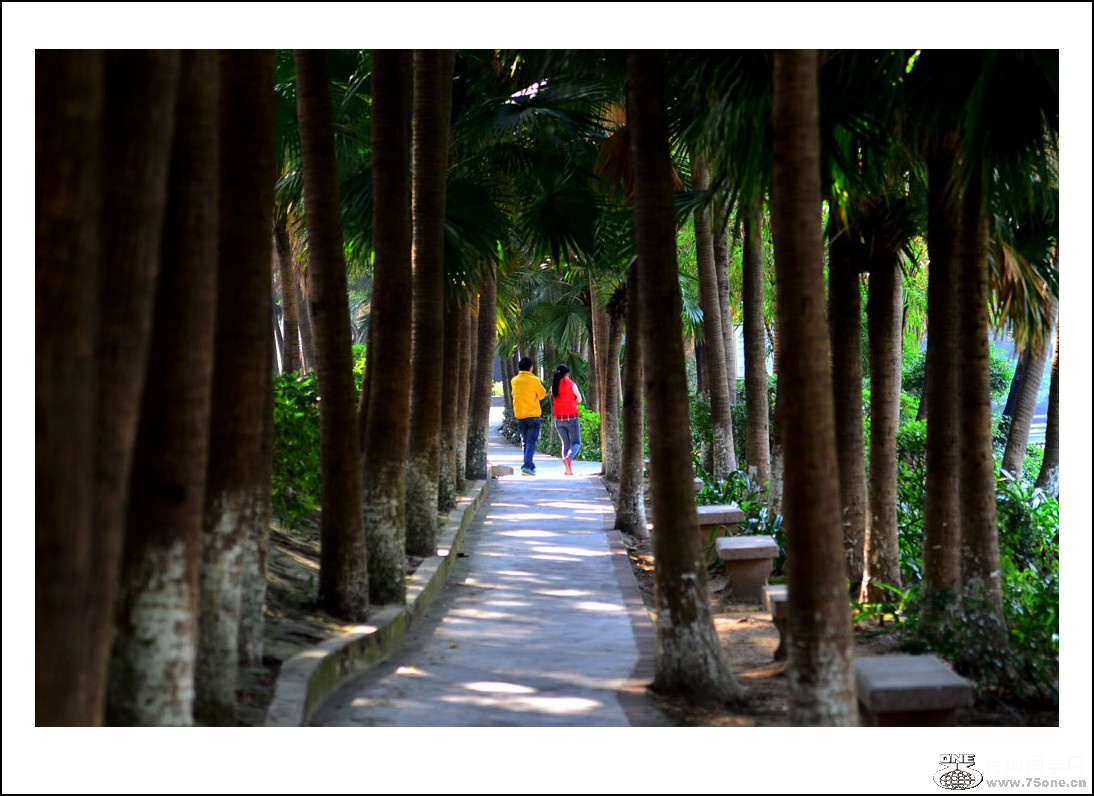 DSC_2400_conew1.jpg