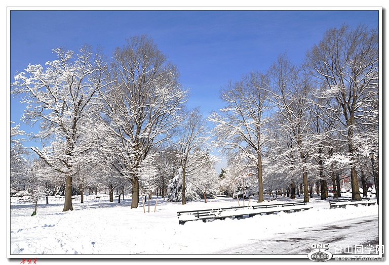 ѩ(2014)-2 111_����.jpg