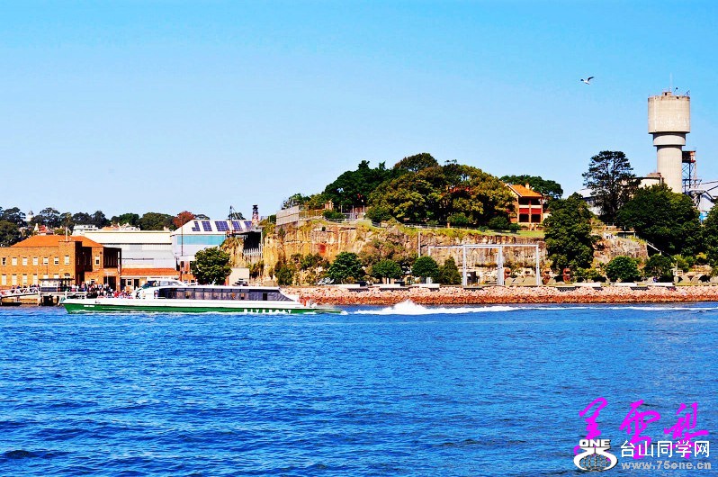 DSC_3127_conew1.jpg