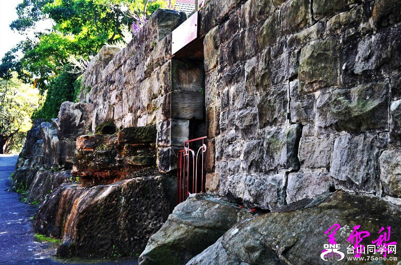 DSC_3342_conew1.jpg