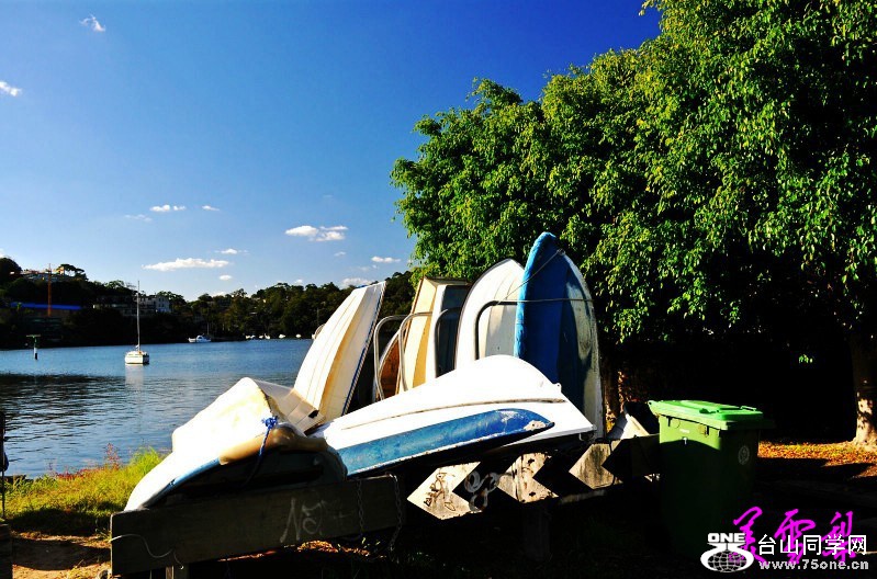 DSC_3361_conew1.jpg