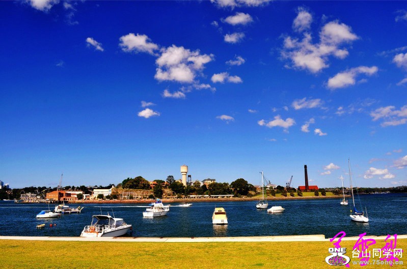 DSC_3082_conew1.jpg