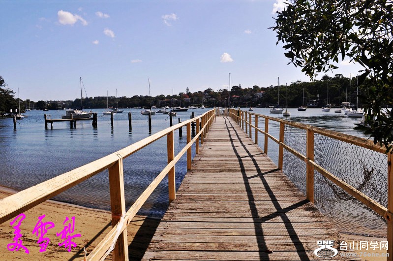 DSC_3035_conew1.jpg