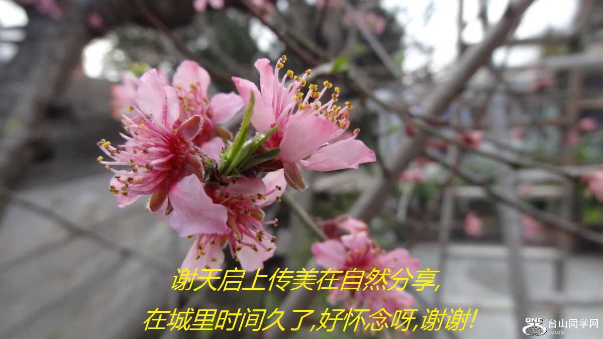 лϴȻ,ڳʱ,ûѽ,лл!.jpg