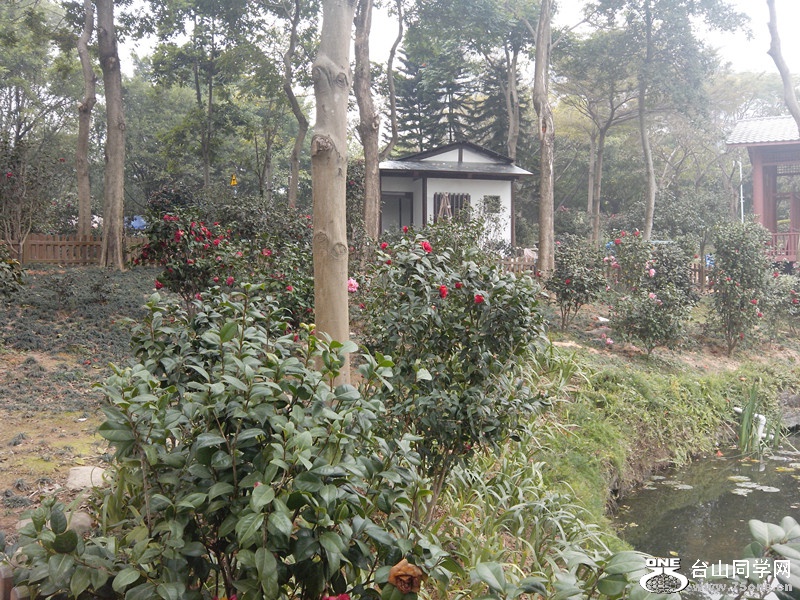 IMG_20150211_142901_副本.jpg