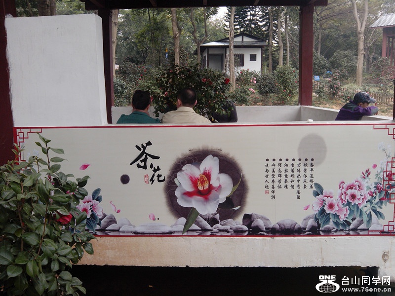 IMG_20150211_142826_副本.jpg