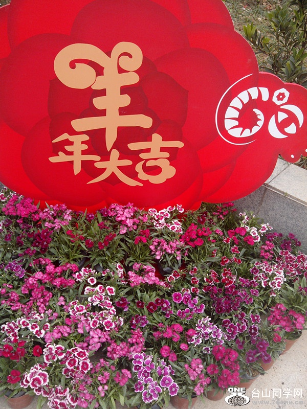 IMG_20150211_142621_副本.jpg